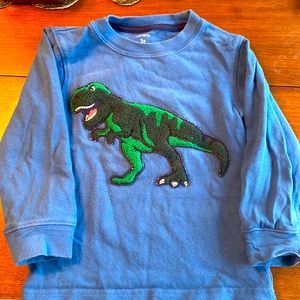 Carters Tyrannosaurus Trex Sweatshirt Blue Green Fuzzy